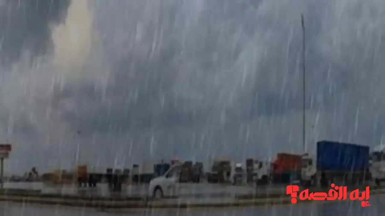 شتاء قارس.. حالة الطقس غدا الأحد أمطار رعدية بغزارة حتى 2026